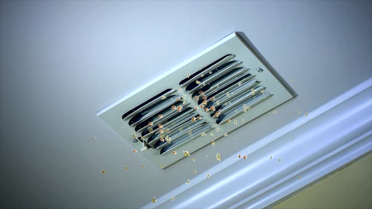  Posen, IL Airduct Cleaning Pros
